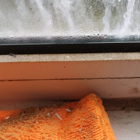 Deep Cleaning Neath